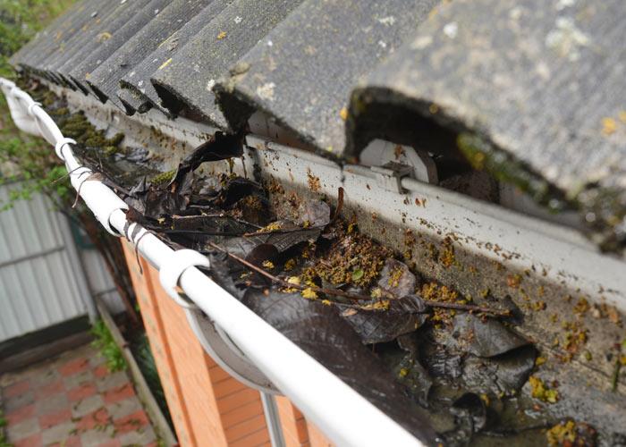 Signs Your Roof Gutters Need Immediate Replacement